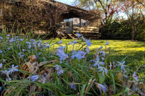 Alexander Cottage - Holiday Sunshine Coast 3