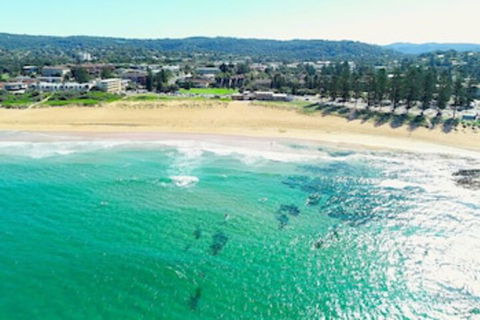 Reef Resort Apartments - Sunshine Coast Tourism 0