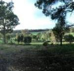 Chandeliers on Abbey