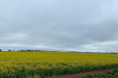 Apollo Motel Parkes - Holiday Sunshine Coast 2