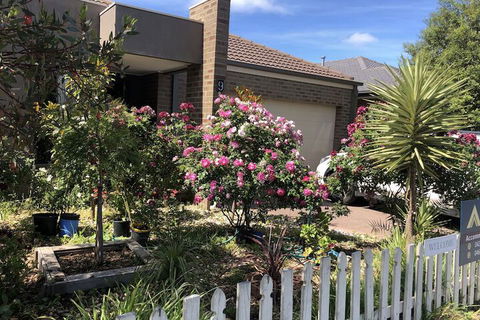 Apple House - Holiday Sunshine Coast 2