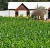 Upper Reach Spa Cottage - Holiday Sunshine Coast