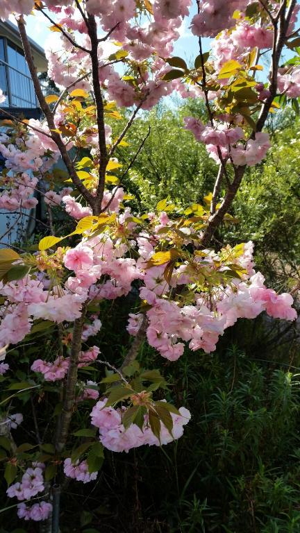 Beezneez B & B - Sunshine Coast Tourism 5