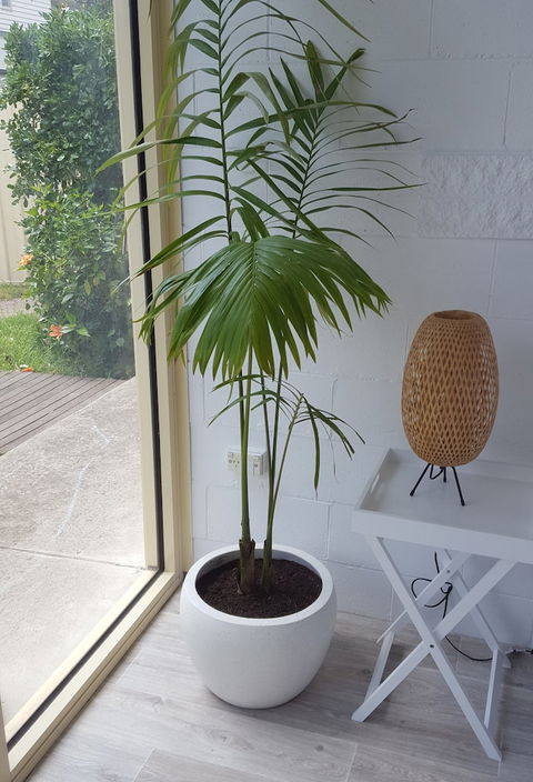 Beach Holiday Apartments Motel - Holiday Sunshine Coast 5