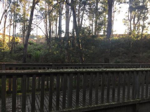 Harlea - Holiday Sunshine Coast 1