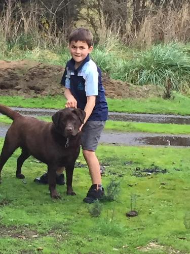 Harlea - Holiday Sunshine Coast 6