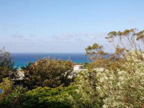 Seagrass - Sunshine Coast Tourism 1