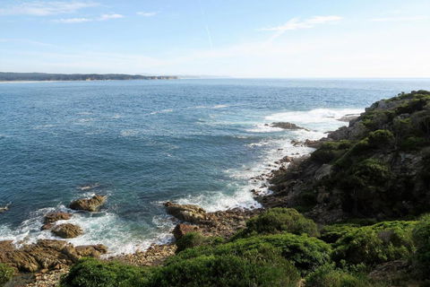 Tathra Hotel & Motel - Sunshine Coast Tourism 5