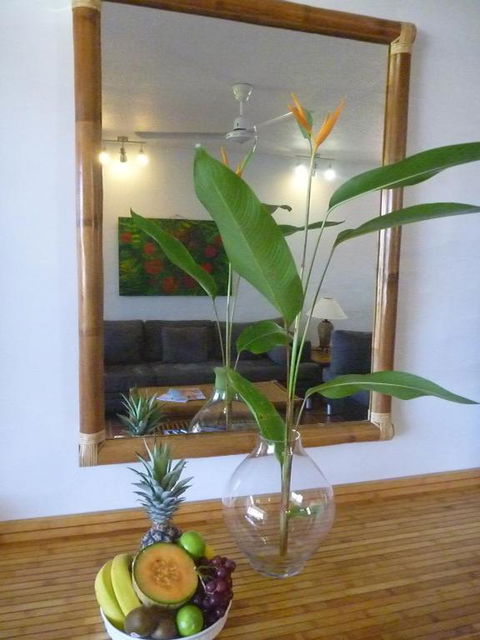 Port Douglas Penthouse Suite - Sunshine Coast Tourism 2