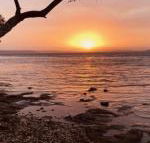 Paradise Beach Apartments - Holiday Sunshine Coast