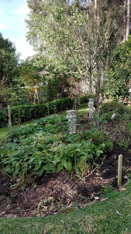 Laurel House - Holiday Sunshine Coast 3