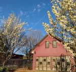 Magenta Cottage - Holiday Sunshine Coast