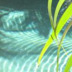 Bli Bli QLD Holiday Sunshine Coast