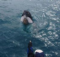 Number 72 Kalbarri Beach Resort - Sunshine Coast Tourism