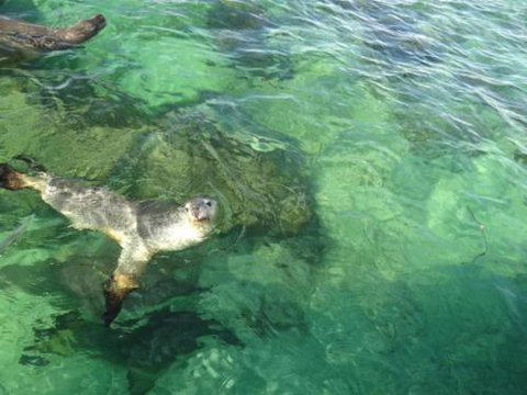 Acaciabnb - Holiday Sunshine Coast 5