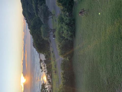 Acutterbove - Holiday Sunshine Coast 6