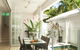 Port Douglas Paradise Beach Villa - thumb 5
