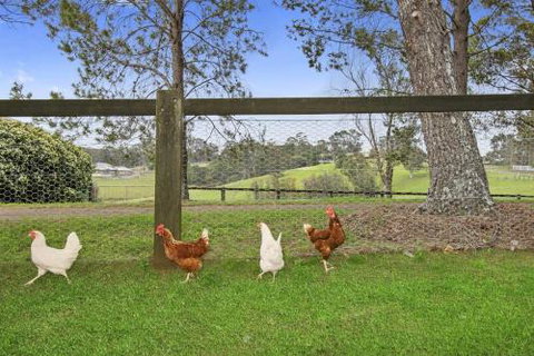 TINY HOME......BIG Views - Sunshine Coast Tourism 6