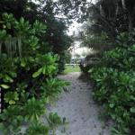 Balinese Beachfront Villa - Sunshine Coast Tourism 0
