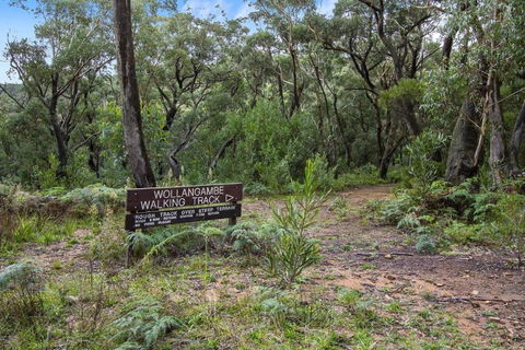 THE TEACHERS COTTAGE - Sunshine Coast Tourism 5