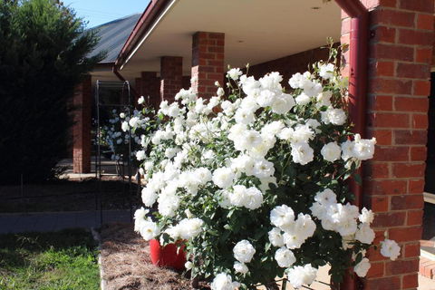 Gundaroo Manor Bed & Breakfast - Holiday Sunshine Coast 1