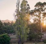 Karribank  the Karri on Bar - Sunshine Coast Tourism