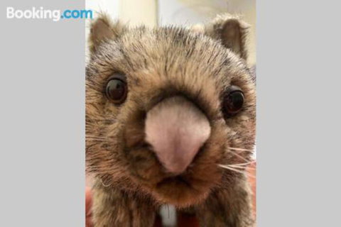 SKY GARDENS SUNSET RIVER VIEW NETFLIX WINE PARKING - Sunshine Coast Tourism 6