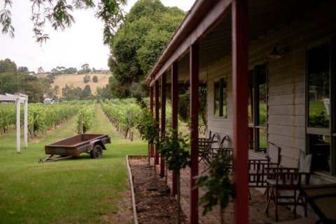 Fergusson Winery Homestead Accomodation - Holiday Sunshine Coast 2