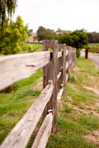 Fergusson Winery Homestead Accomodation - Holiday Sunshine Coast 6