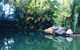 Palm Villas In Port #7 - thumb 1