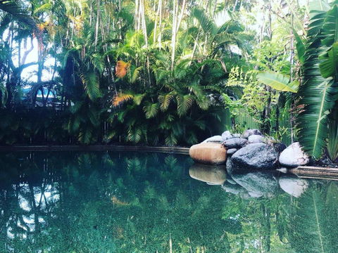 Palm Villas In Port #7 - Sunshine Coast Tourism 1