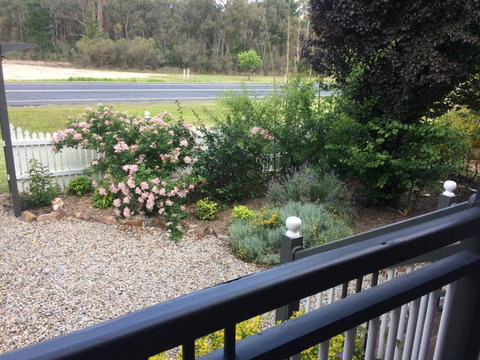 Briar Rose Cottages - Sunshine Coast Tourism 6