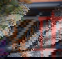 Pagoda Resort  Spa - Sunshine Coast Tourism