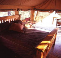 Jabiru Safari Lodge - Sunshine Coast Tourism