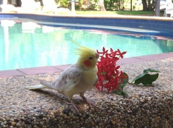 Hidden Valley Holiday Park - Holiday Sunshine Coast 3