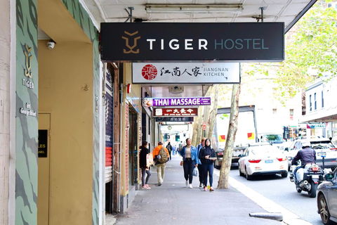 Tiger Hostel Sydney - Holiday Sunshine Coast 3