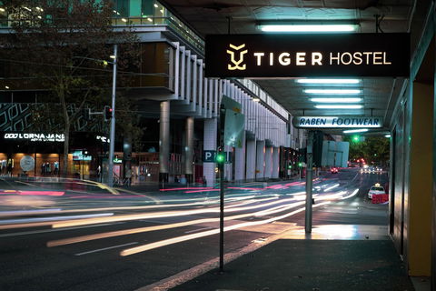 Tiger Hostel Sydney - Holiday Sunshine Coast 0