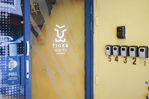 Tiger Hostel Sydney - Holiday Sunshine Coast 4