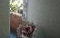 Abbeville Apartments - thumb 5