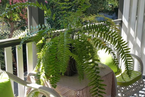 Elindale House Bed & Breakfast - Sunshine Coast Tourism 4