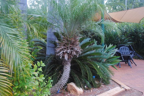 Kingaroy Holiday Park - Sunshine Coast Tourism 1