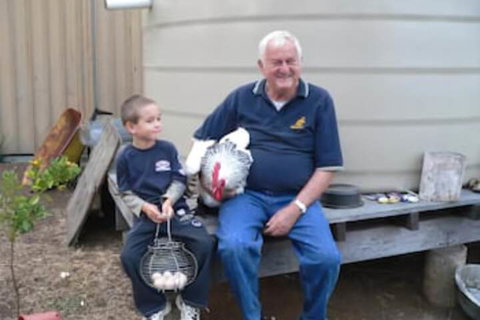 Lee Farm Stay Cottages - Holiday Sunshine Coast 1