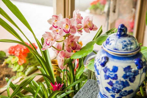 Kempsey Rose Motor Inn - Holiday Sunshine Coast 7