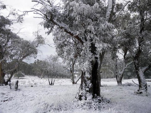 Alpha Centauri 8 Budget Jindabyne Holiday Apartment - Holiday Sunshine Coast 3