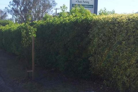 Glenndale Park Motel - Sunshine Coast Tourism 4