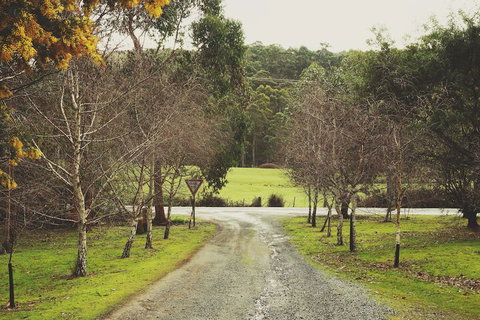 Oyster Cove Chalet - Holiday Sunshine Coast 4