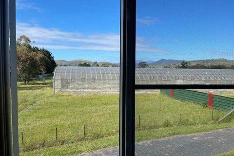 Alexanders' Of Richmond - Sunshine Coast Tourism 7