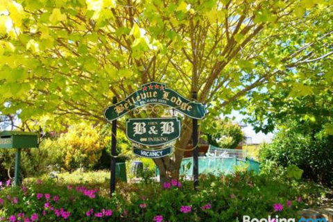 Eden Bed & Breakfast - Holiday Sunshine Coast 0