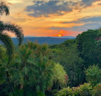 Daintree Manor Bed  Breakfast - Sunshine Coast Tourism