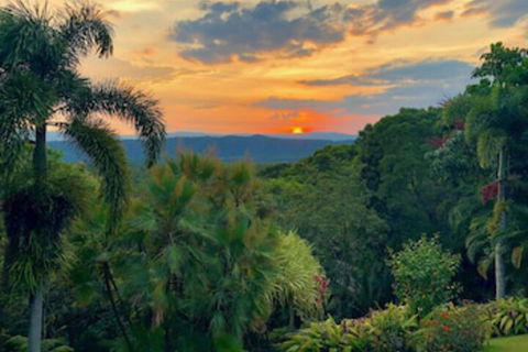 Daintree Manor Bed & Breakfast - Sunshine Coast Tourism 0